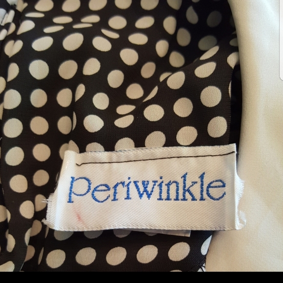 Vintage Periwinkle Polka Dot Dress - Picture 9 of 11